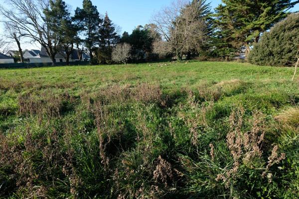 SARZEAU Terrain 1151 m²