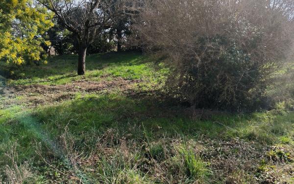 Terrain à vendre    Beaupuy