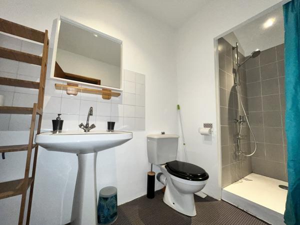 Mauvezin (32120) La “Maison dans les bois” – Authentique Gasconne en pierre sur près de 2 hectares