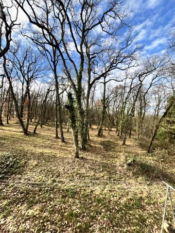 Mauvezin (32120) La “Maison dans les bois” – Authentique Gasconne en pierre sur près de 2 hectares