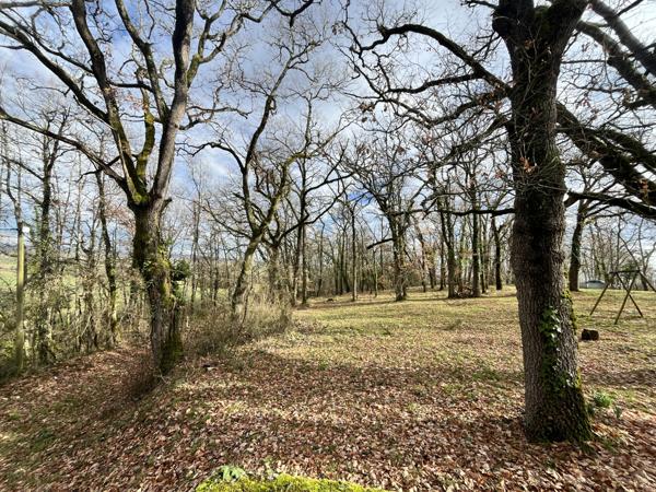 Mauvezin (32120) La “Maison dans les bois” – Authentique Gasconne en pierre sur près de 2 hectares