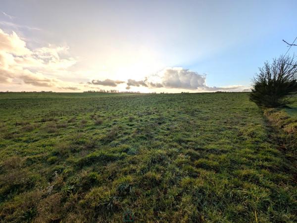 Propriété sur 27 hectares, maison 179 m2, bâtiments de 700 m2 salle de réception et 600 m2 garage