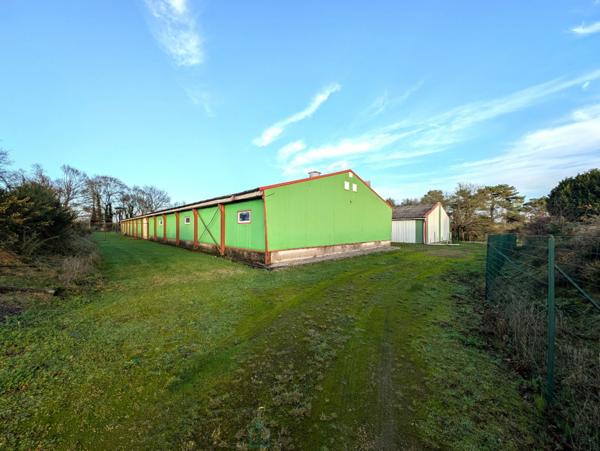 Propriété sur 27 hectares, maison 179 m2, bâtiments de 700 m2 salle de réception et 600 m2 garage