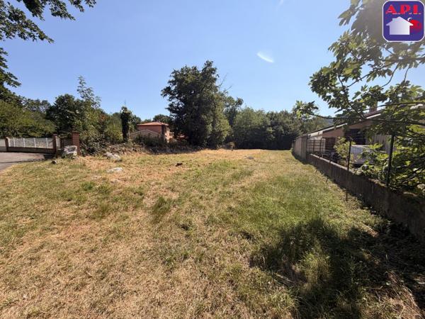 Achat vente Terrain Montoulieu