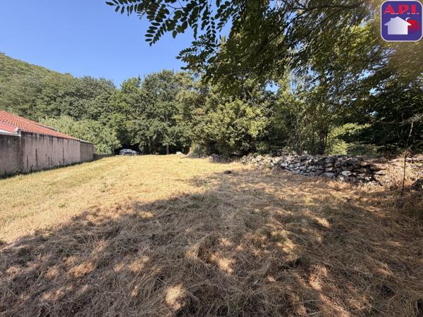 Achat vente Terrain Montoulieu