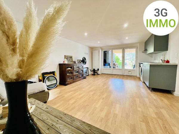 Vente / Maison à Cholet (49300)