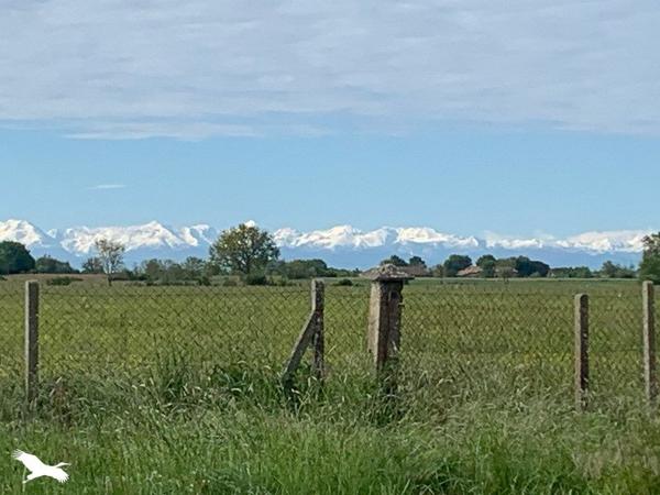 Maison à vendre |  Fontenilles |  5 pièces | 134,1 m²