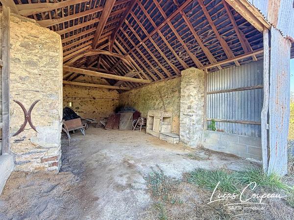 Maison à rénover avec 3 hectares