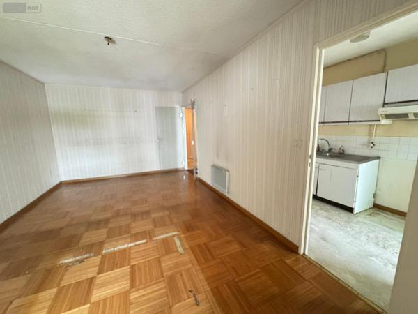 Appartement à rénover à vendre à Le Bouscat en Gironde (33110), ref : 33010/129