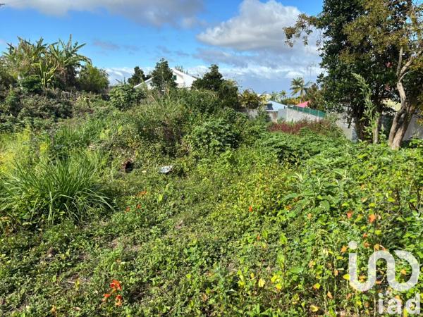 Terrain à vendre 1 190 m² Le Tampon