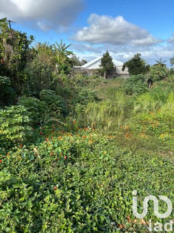 Terrain à vendre 1 190 m² Le Tampon