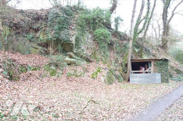 A vendre à Ambrières les vallées(53), sortie de ville, un terrain de 2 451 m² comprenant une ma...