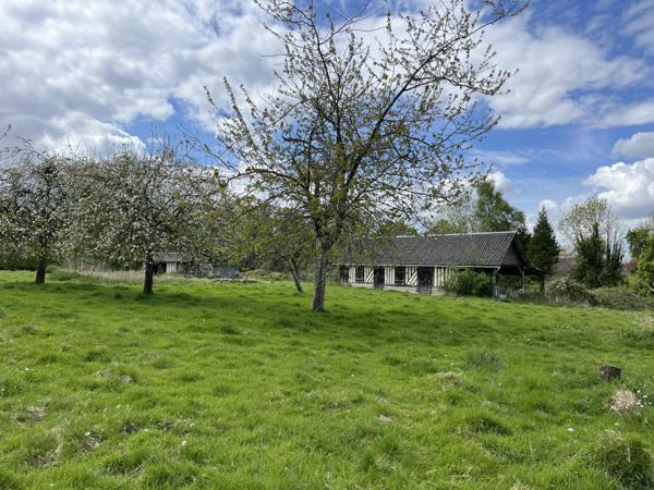 Beuzeville (27210) EXCLUSIVITE, TRES RARE ! CORPS DE FERME A BEUZEVILLE !