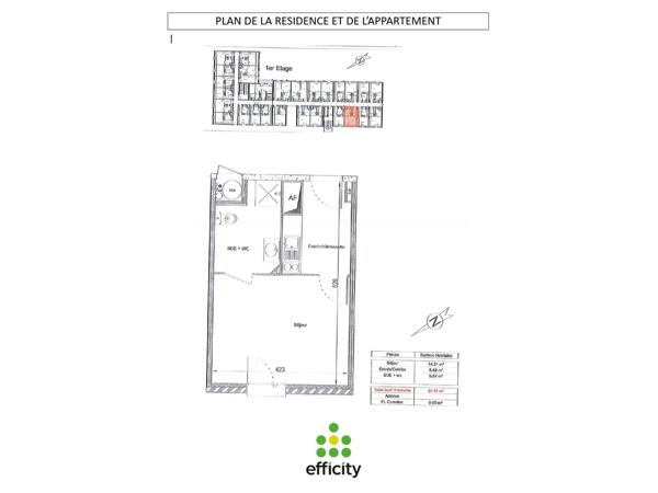 Appartement 1 pièce - 25 m² Exclusivité efficity
