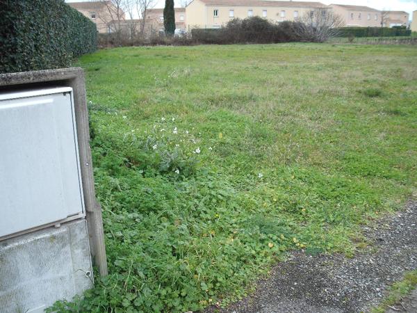 Terrain viabilisé de 1059 m²