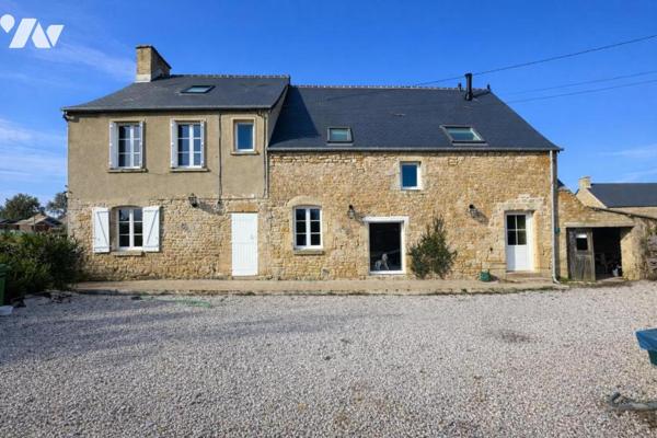 Propriété en pierres RENOVEE - 2 Habitations - PICAUVILLE