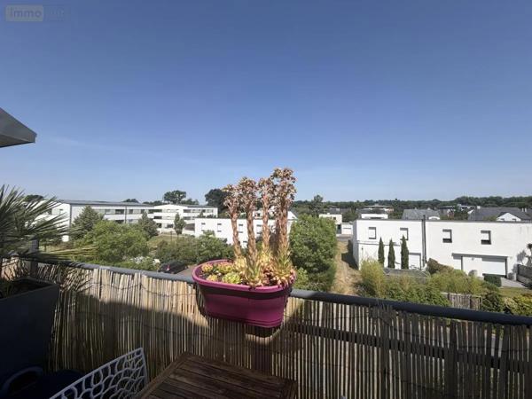 Location - Appartement Le Rheu 35650 3 pièces 65 m 2