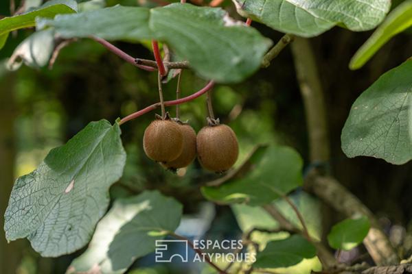 Longère de charme en campagne de Broöns, véritable écrin de verdure