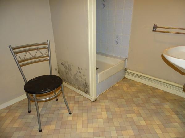 Vente Immeuble245 m² - CHATEAUNEUF SUR CHER (18190)