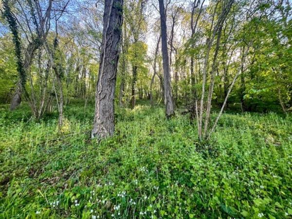 Terrain à vendre de 1 500m² AVAILLES THOUARSAIS (79)