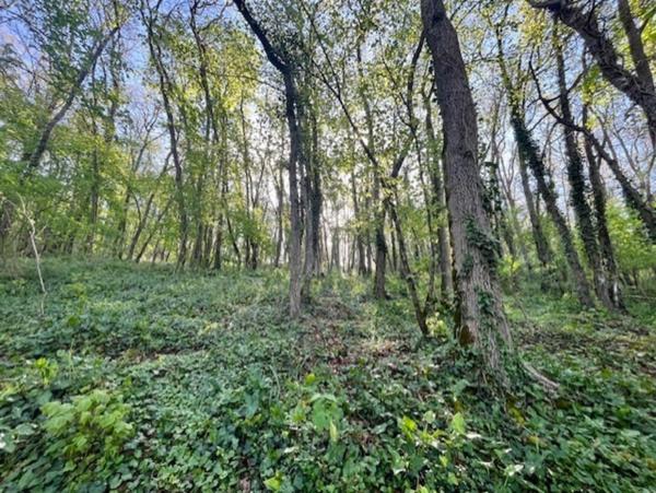 Terrain à vendre de 1 500m² AVAILLES THOUARSAIS (79)