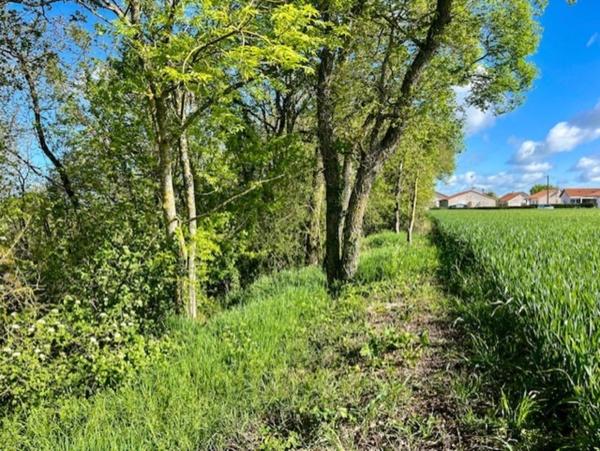 Terrain à vendre de 1 500m² AVAILLES THOUARSAIS (79)