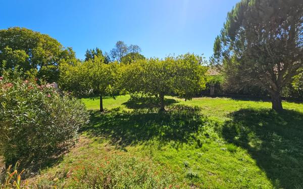 Maison à vendre    5 pièces •  Uzès