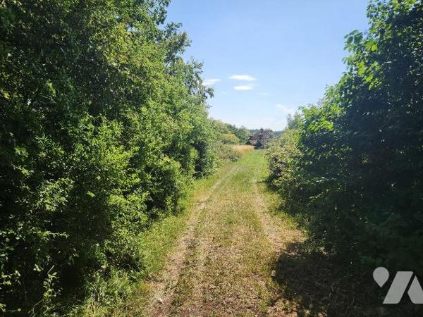 Rare secteur Lac d'Orient - Verger / terrain naturel de 3 310 m² avec double accès véhicule

...