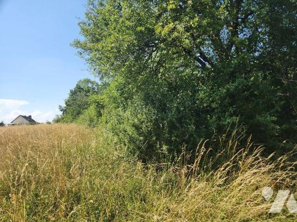 Rare secteur Lac d'Orient - Verger / terrain naturel de 3 310 m² avec double accès véhicule

...