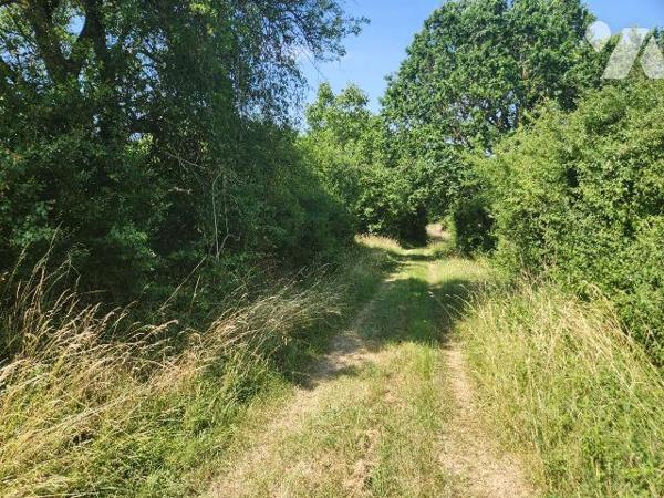 Rare secteur Lac d'Orient - Verger / terrain naturel de 3 310 m² avec double accès véhicule

...