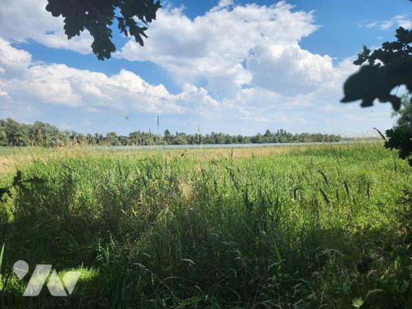 Rare secteur Lac d'Orient - Verger / terrain naturel de 3 310 m² avec double accès véhicule

...
