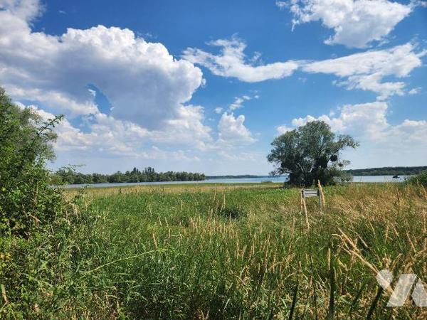 Rare secteur Lac d'Orient - Verger / terrain naturel de 3 310 m² avec double accès véhicule

...