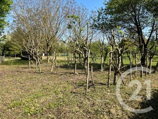 Terrain à vendre  1670 m 2   NAINTRE  - 86