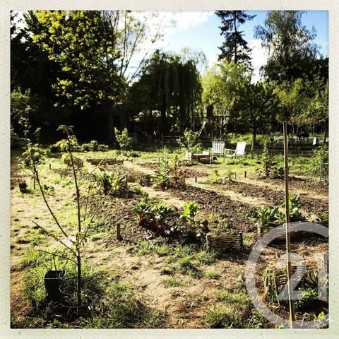 Terrain à vendre  1670 m 2   NAINTRE  - 86