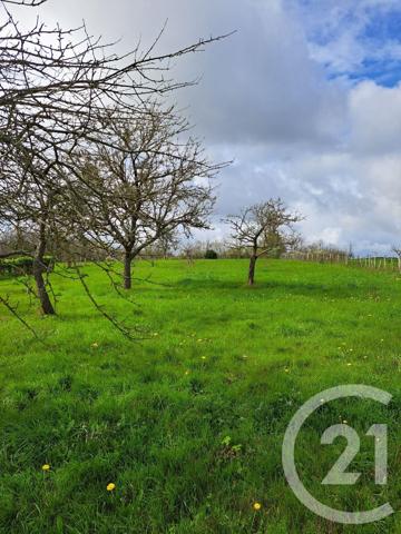 Terrain à vendre  1670 m 2   NAINTRE  - 86