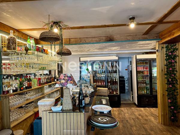 A vendre - Guinguette - Restaurant nature avec parc boisé de 1,76 hectare - D6065