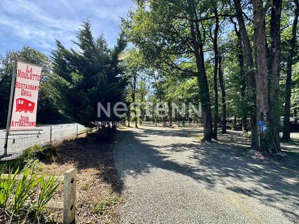 A vendre - Guinguette - Restaurant nature avec parc boisé de 1,76 hectare - D6065