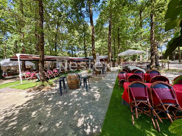 A vendre - Guinguette - Restaurant nature avec parc boisé de 1,76 hectare - D6065