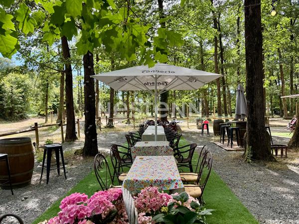 A vendre - Guinguette - Restaurant nature avec parc boisé de 1,76 hectare - D6065