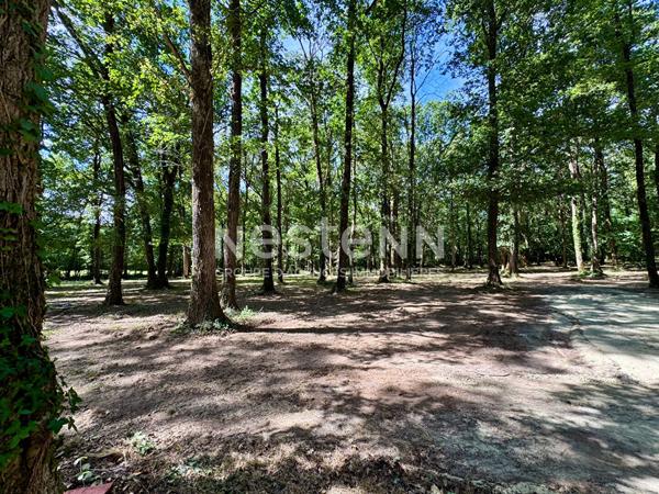 A vendre - Guinguette - Restaurant nature avec parc boisé de 1,76 hectare - D6065