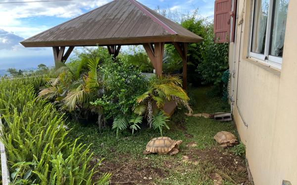 Maison à vendre    5 pièces • 170 m2 Le Tampon