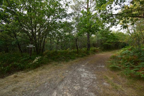 Pavillon de chasse de 600m² avec salle de réception de 218m²