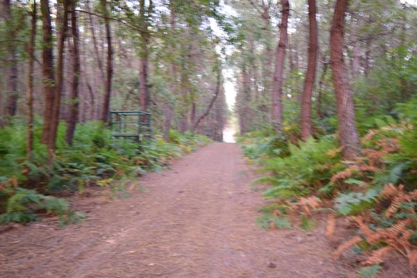 Pavillon de chasse de 600m² avec salle de réception de 218m²