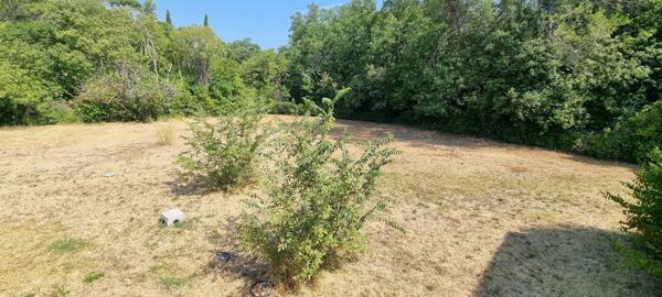 Trans-en-Provence - Piscine - Maison 145m2