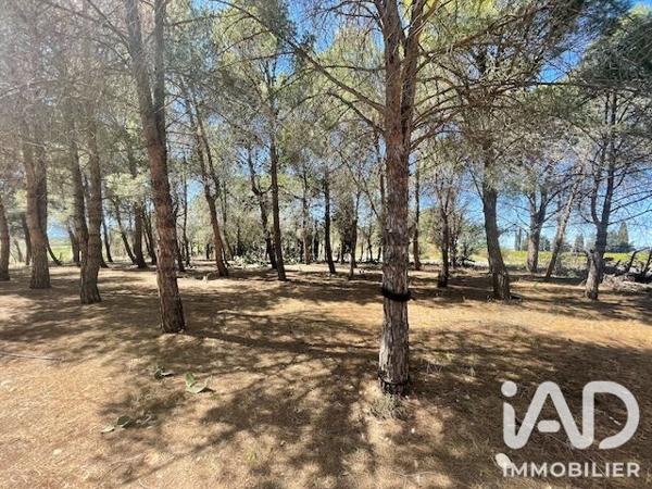Terrain à vendre 13 930 m² Elne