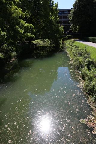 superbe 3 pièces de 71 m² dans une résidence standing et sécurisée