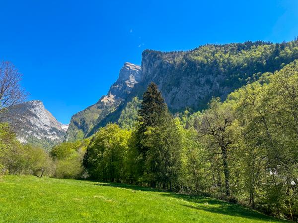 Chalet à vendre à Samoëns (74340) - Haute-Savoie