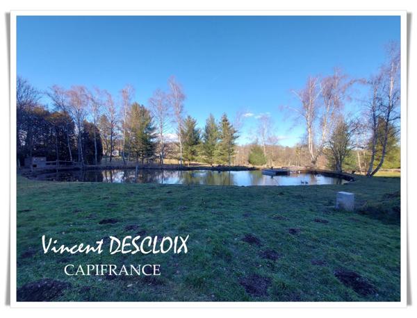 Dpt Nièvre (58), à vendre MONTSAUCHE LES SETTONS maison P5 propriété avec étang