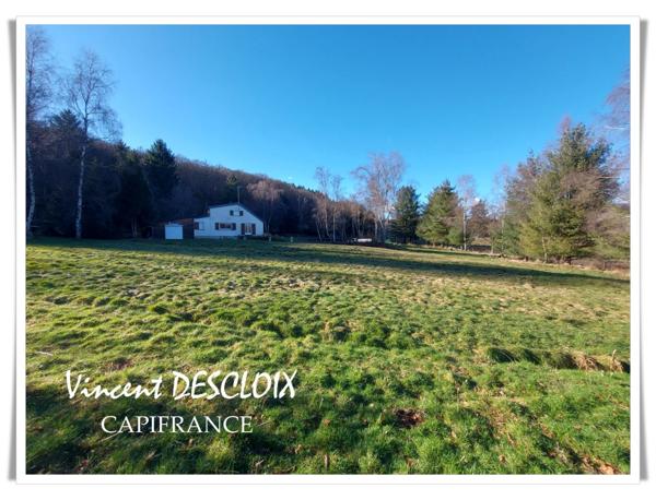 Dpt Nièvre (58), à vendre MONTSAUCHE LES SETTONS maison P5 propriété avec étang