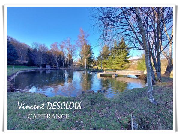 Dpt Nièvre (58), à vendre MONTSAUCHE LES SETTONS maison P5 propriété avec étang